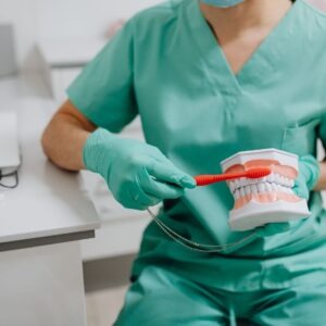 A dentist brushing a toy models teeth